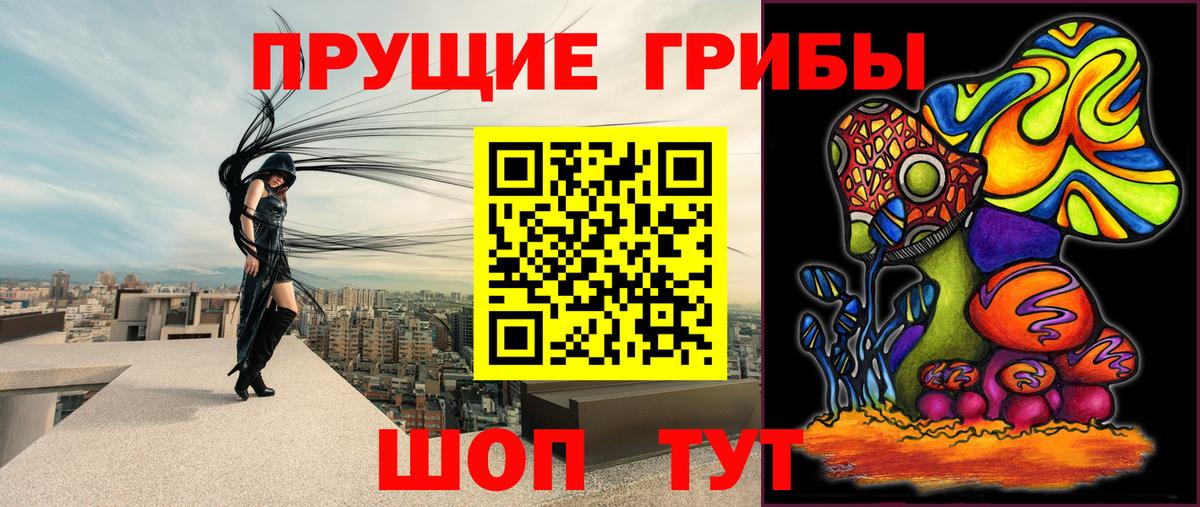 Волжский  Галлюциногенные грибы Psilocybine cubensis  Вход с VPN 