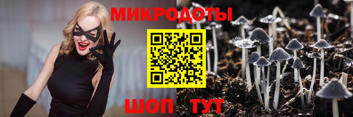 Псилоцибиновые грибы GOLDEN TEACHER Волжский