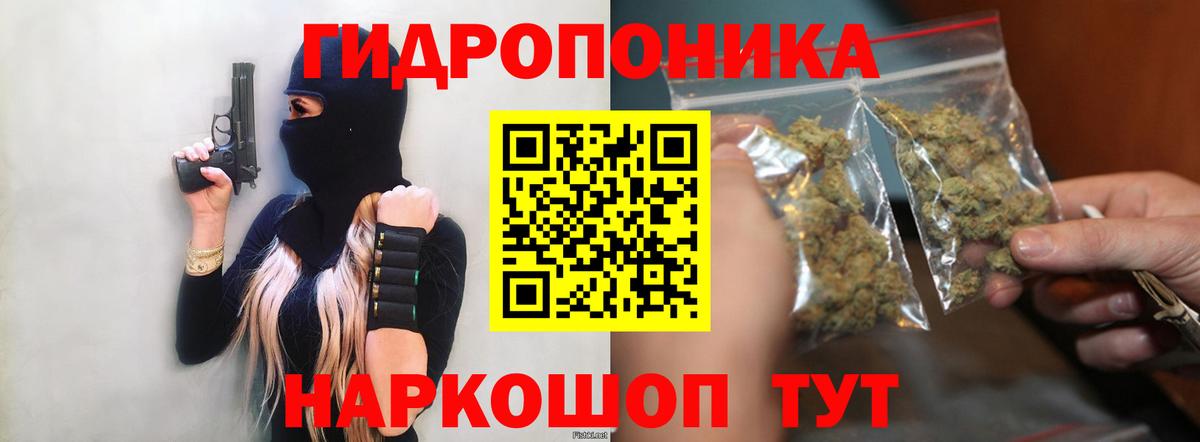 Шишки марихуана OG Kush  Марихуана марихуана  Вход с VPN  Шишки марихуана OG Kush  Волжский 